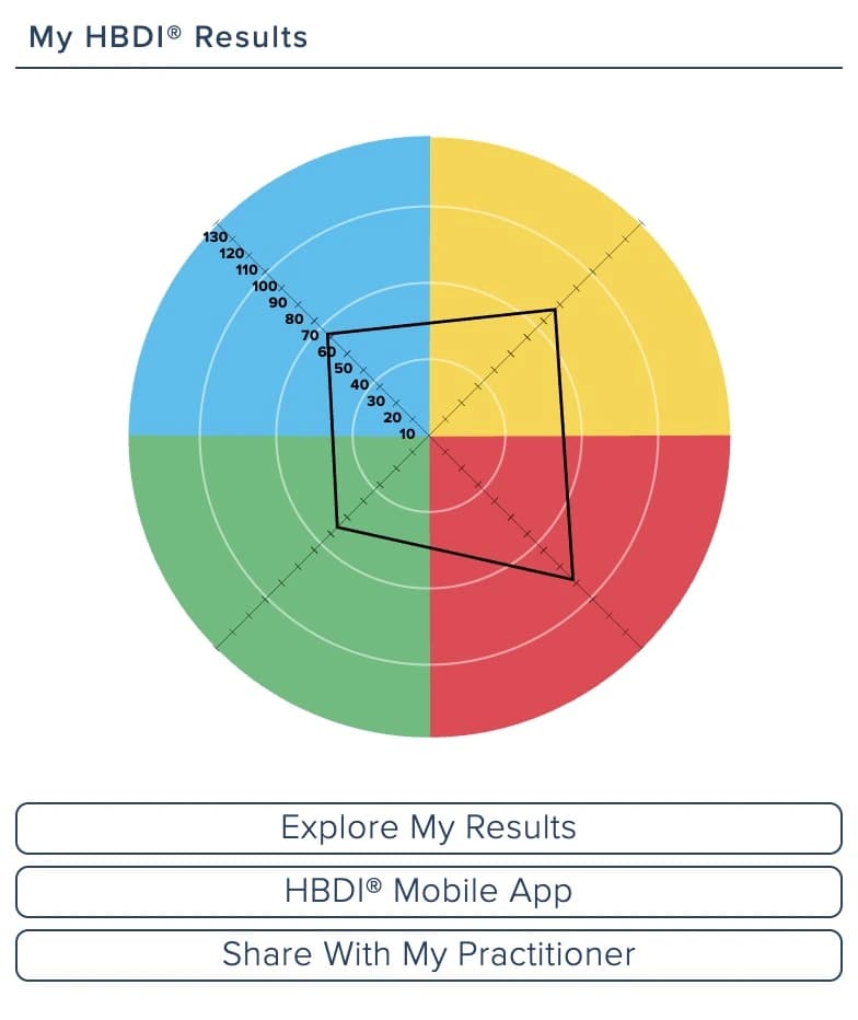 HBDI® Assessment & Debrief Package 2